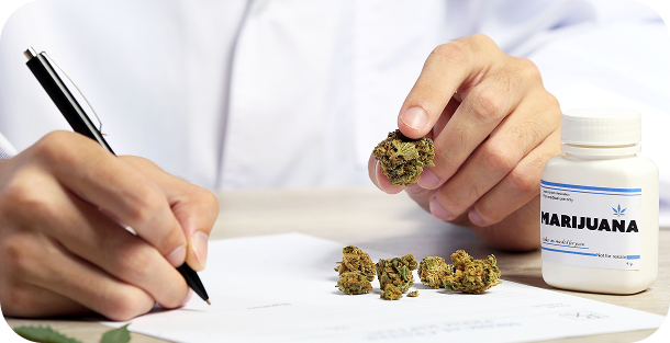 Patient Consultation